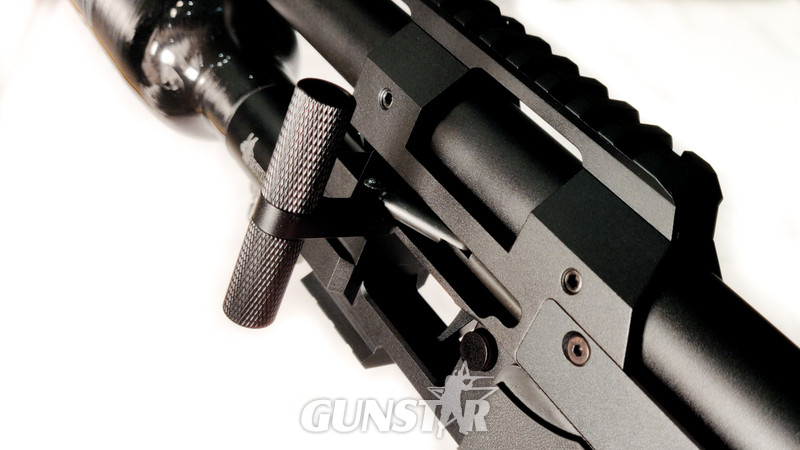RTI Arms Prophet .22 in 