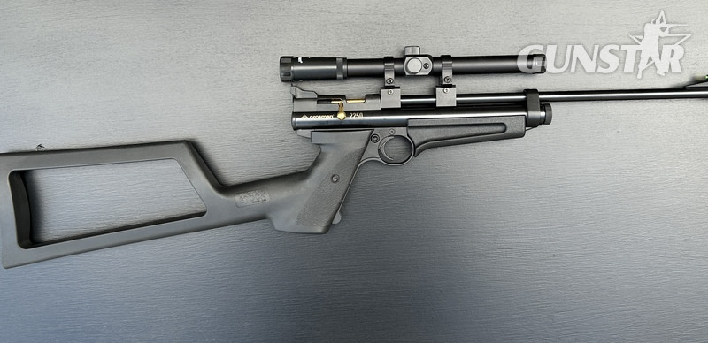 Crosman 2250 Ratcatcher .22 in 
