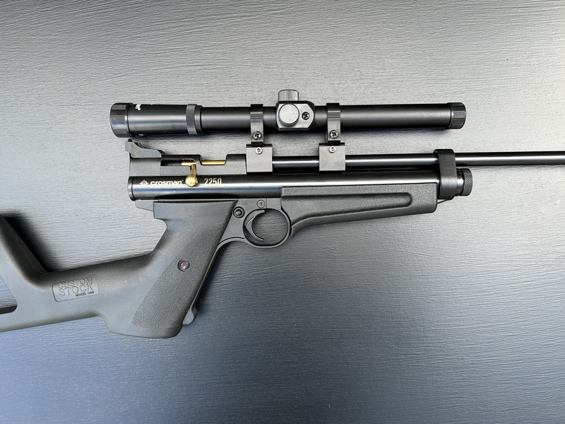 Crosman 2250 Ratcatcher .22 - {CATEGORY} in 