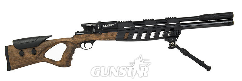 Lee Enfield Sentry .177 in 