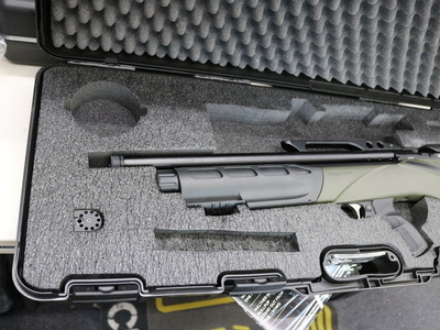Daystate RENEGADE .22