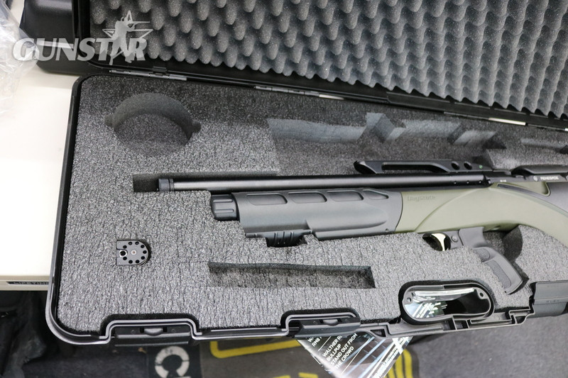 Daystate RENEGADE .22 in 