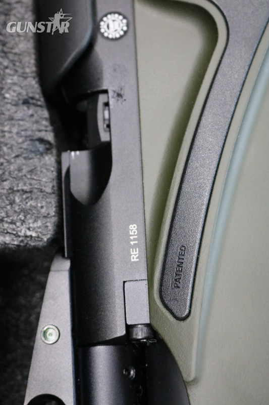 Daystate RENEGADE .22