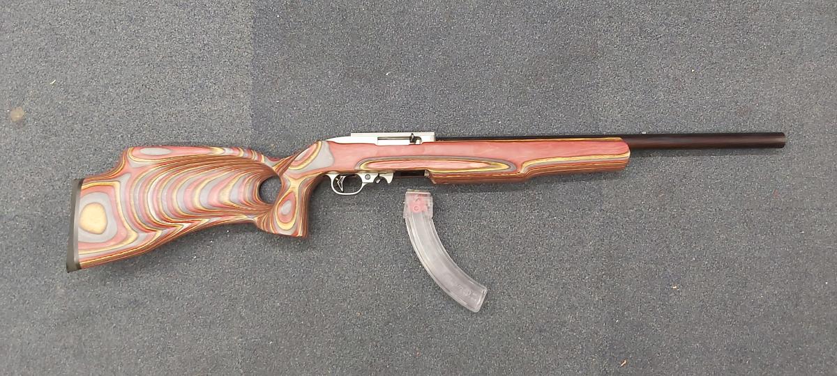 Ruger 10/22 Semi-Auto .22LR Rifle