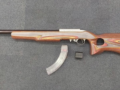 Ruger 10/22 Semi-Auto .22LR Rifle