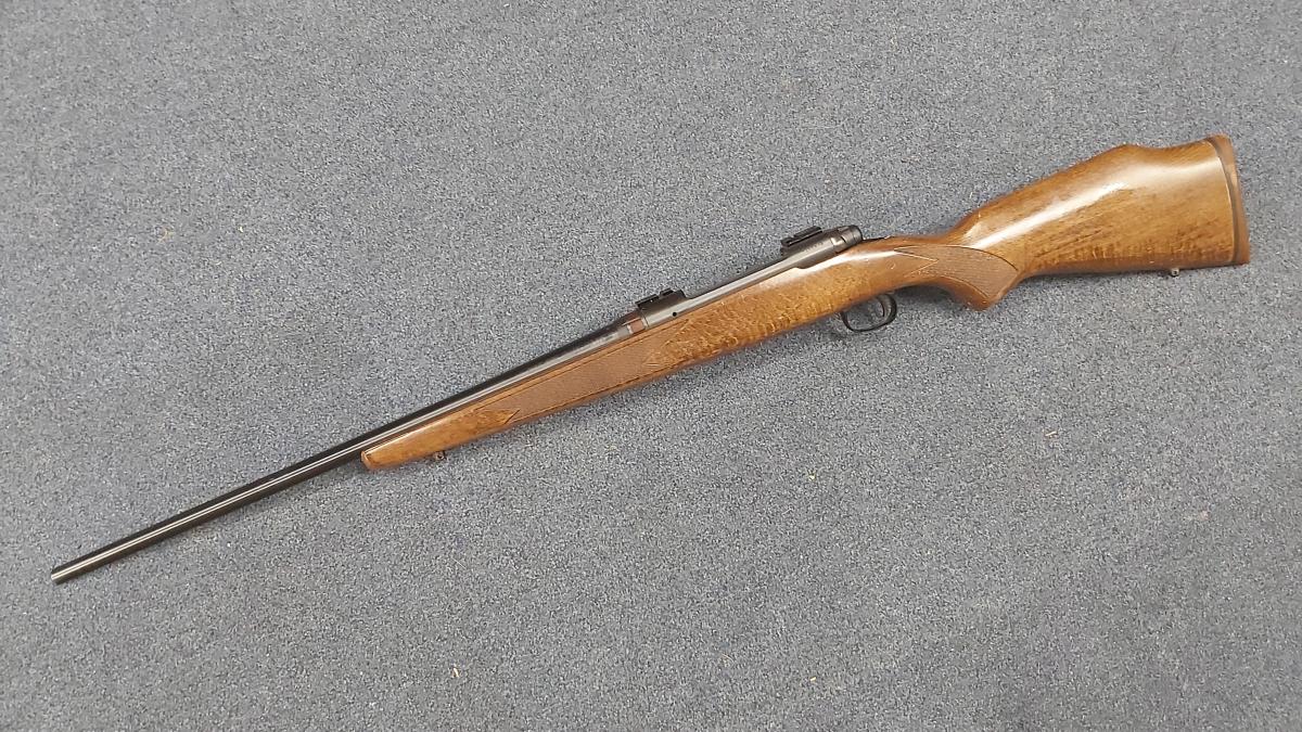 Savage Arms Model 110 Bolt Action .243 Winchester Rifle - {CATEGORY} in 