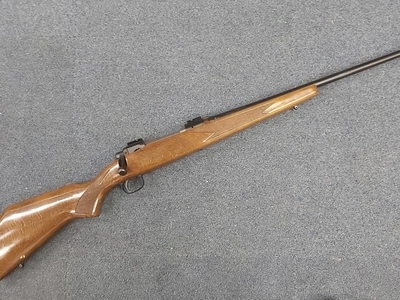 Savage Arms Model 110 Bolt Action .243 Winchester Rifle