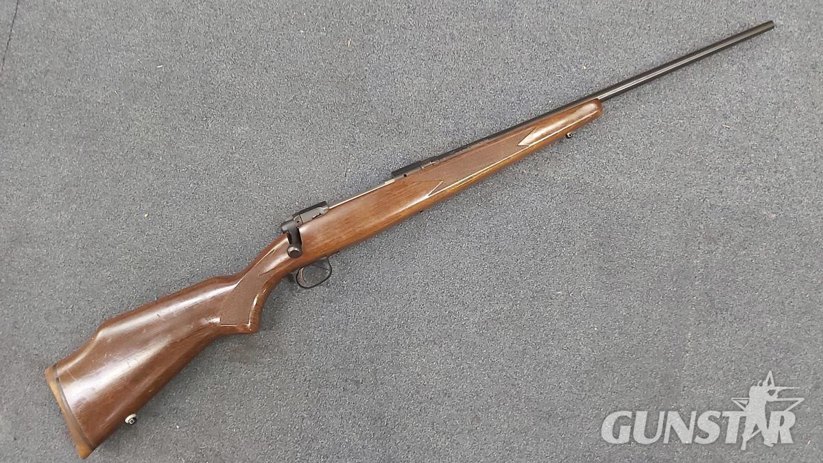 Savage Arms Model 110 Bolt Action .243 Winchester Rifle in 