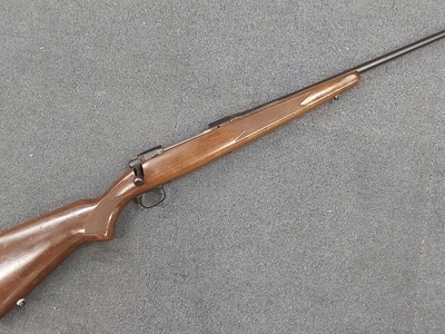 Savage Arms Model 110 Bolt Action .243 Winchester Rifle