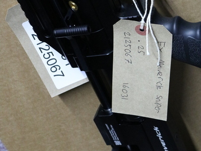 FX Airguns IMPACT SNIPER .25
