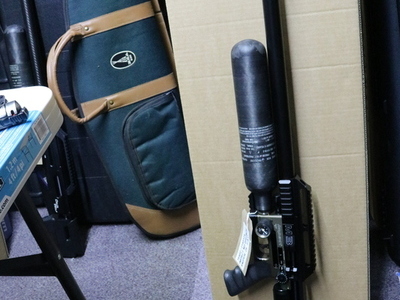 FX Airguns Impact Sniper .25