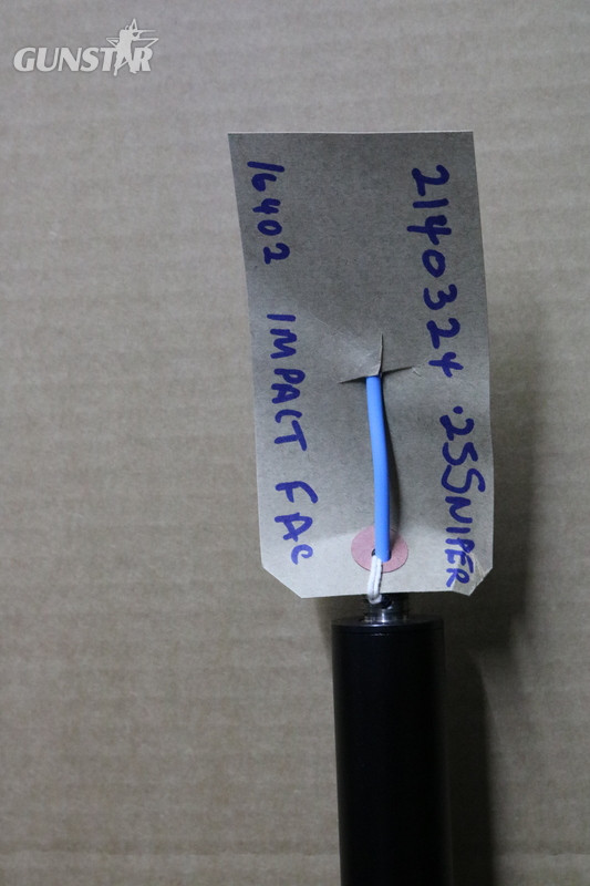 FX Airguns Impact Sniper .25