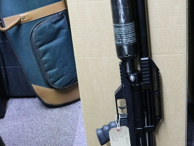 FX Airguns maverick
