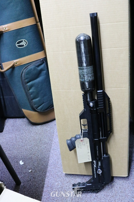 FX Airguns maverick in 