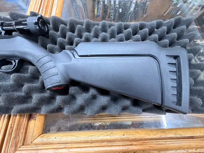 Ruger 10/22 takedown semi auto rifle Semi-Auto .22 Rifle