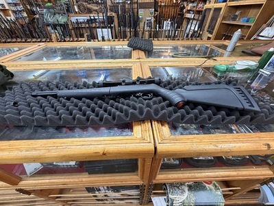 Ruger 10/22 takedown semi auto rifle Semi-Auto .22 Rifle