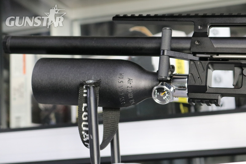 RTI Arms P3 .22 