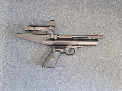 Webley  .22 (5.5mm) Pellet