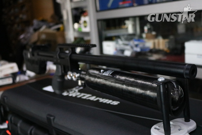 RTI Arms P3 PERFORMANCE .177 