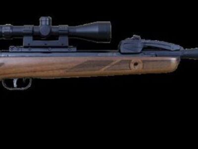 Gamo Varmint Swarm .22