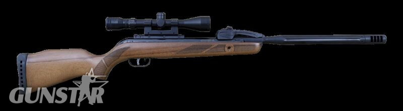 Gamo Varmint Swarm .22 in 