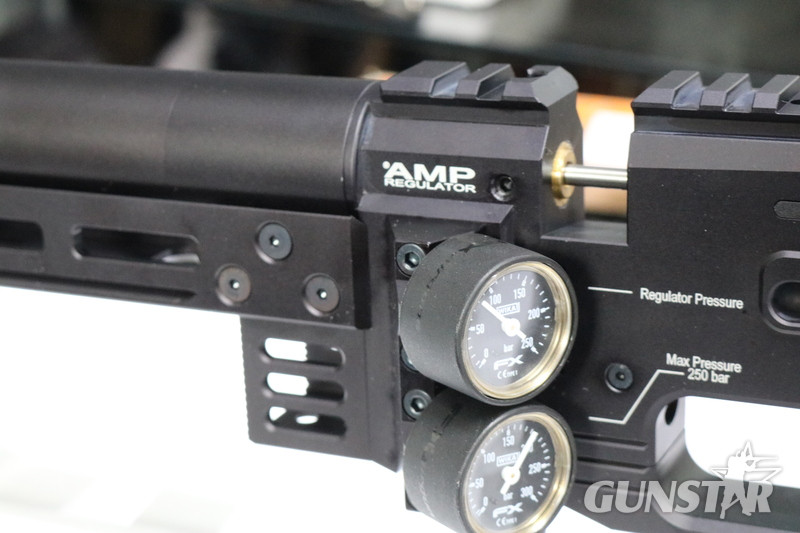 FX Airguns DYNAMIC EXPRESS BLACK 500 .177
