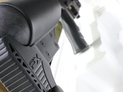 FX Airguns DYNAMIC EXPRESS BLACK 500 .22