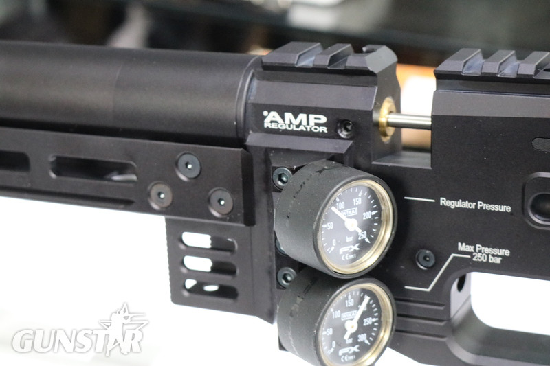 FX Airguns DYNAMIC EXPRESS BLACK 500 .22