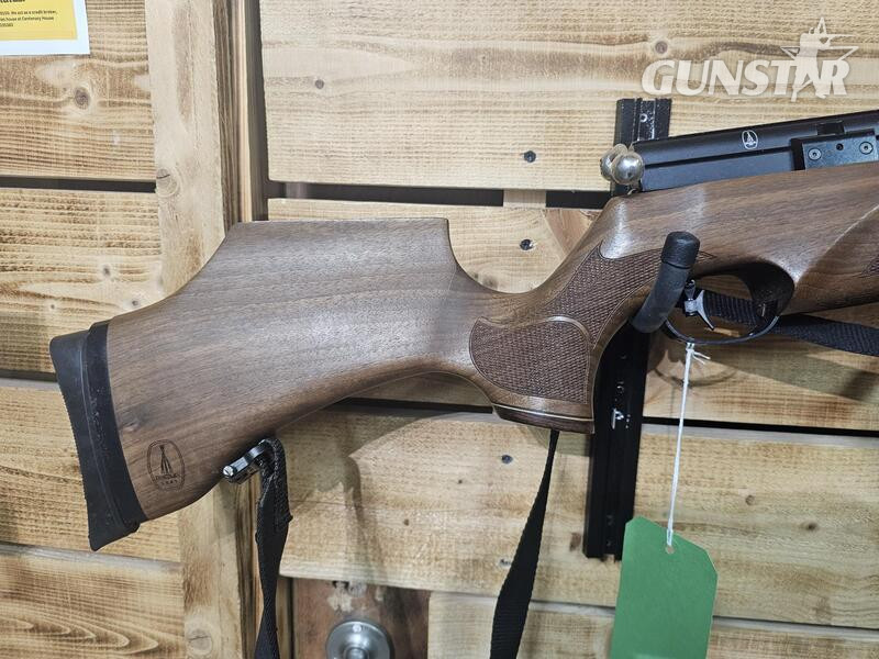 BSA R10 .22
