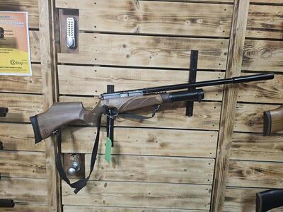 BSA R10 .22