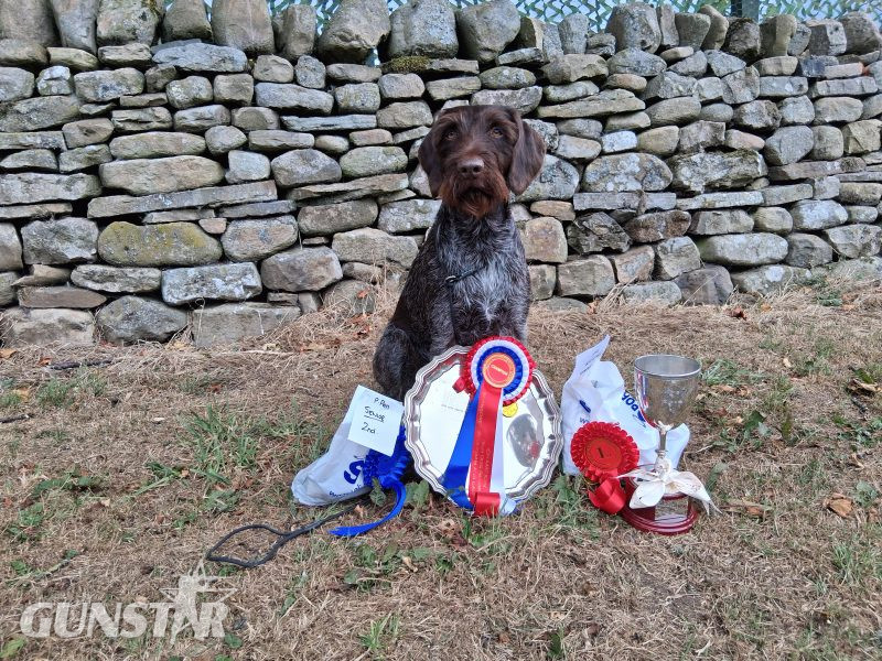 Award winning bitch due june