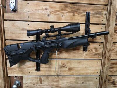 Walther Reign M2 .22
