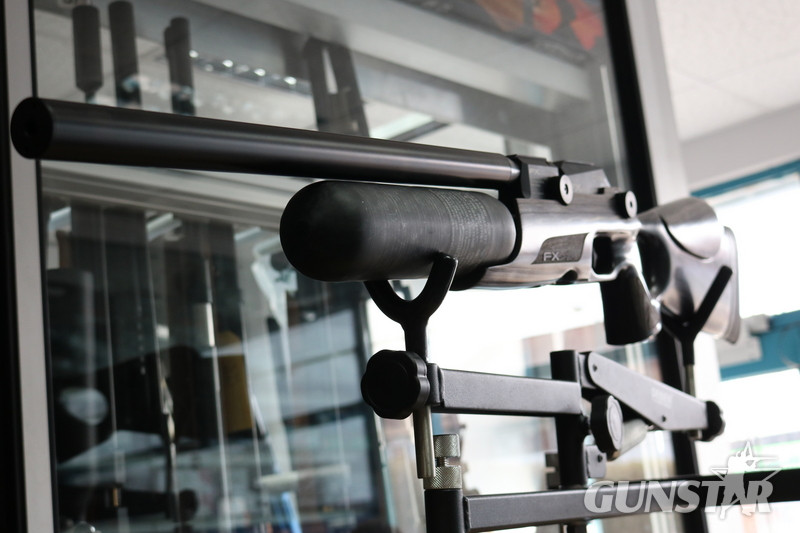 FX Airguns CROWN