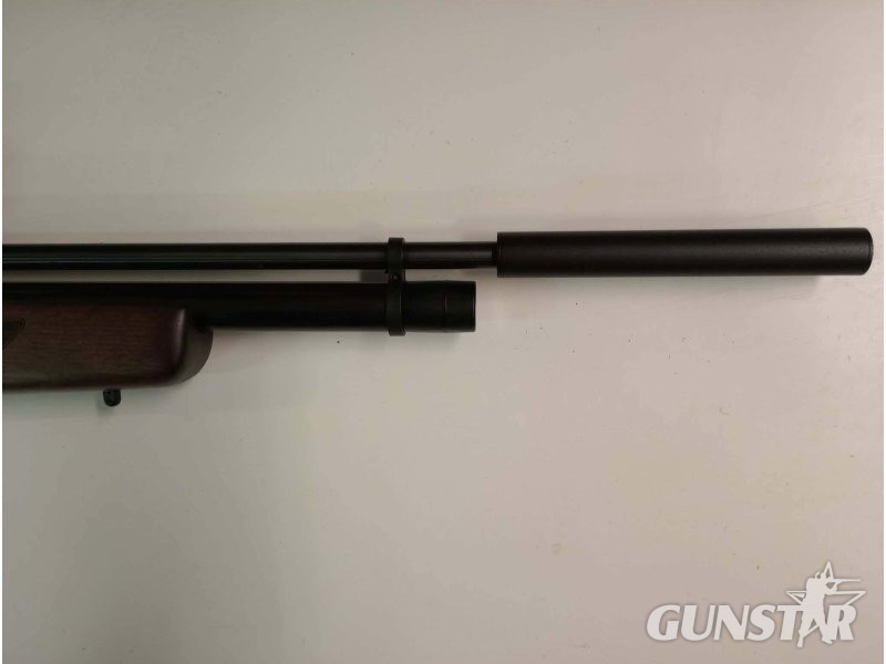  Gamo Coyote .177 Beech