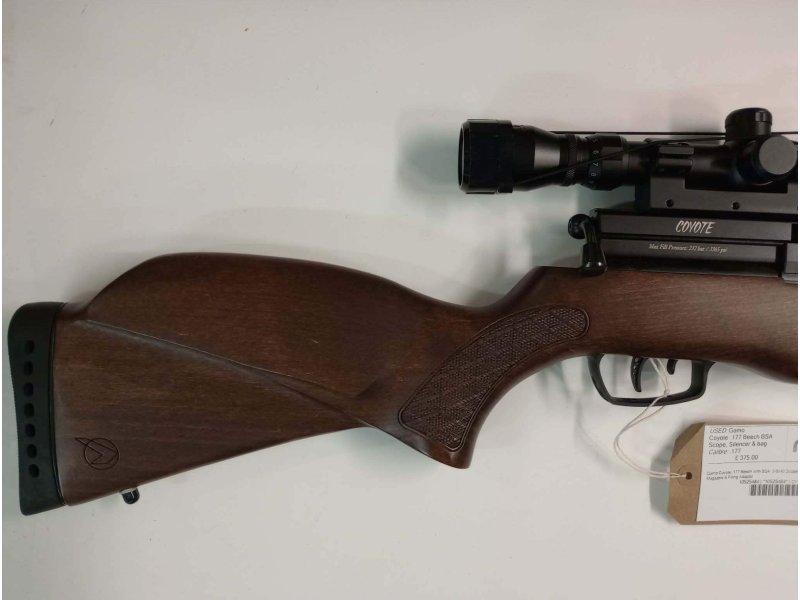 Gamo Coyote .177 Beech - {CATEGORY} in 