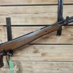  Remington Warhawk .22