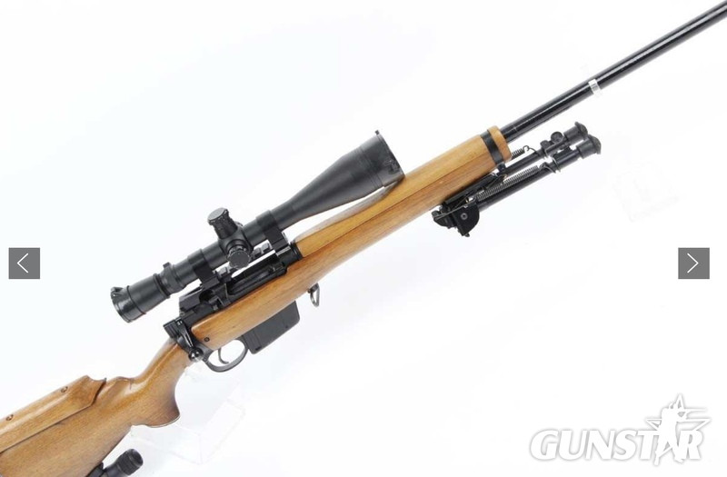  Enfield Enforcer Bolt Action 7.62x51mm NATO Rifle