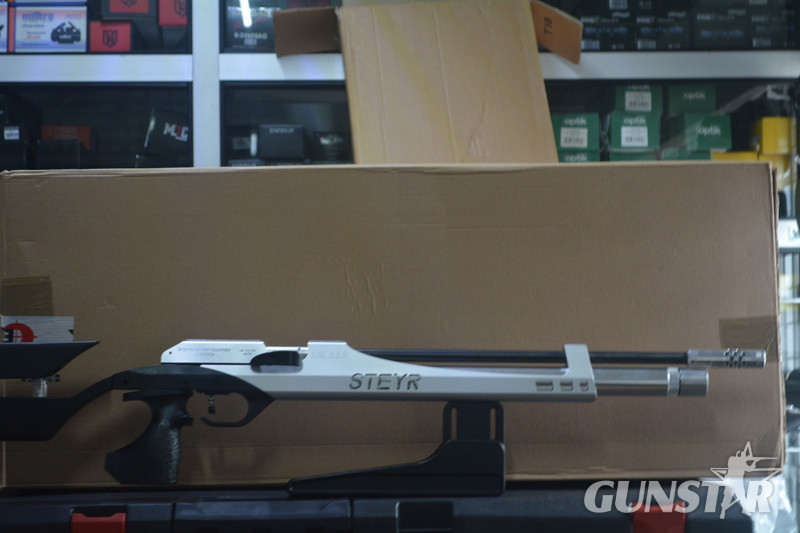 Steyr LG110 .177 in 