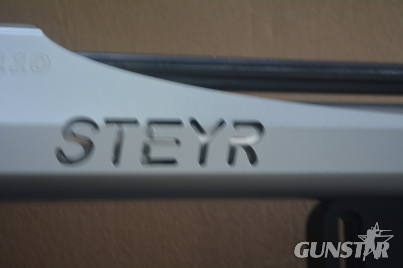 Steyr LG110 .177 