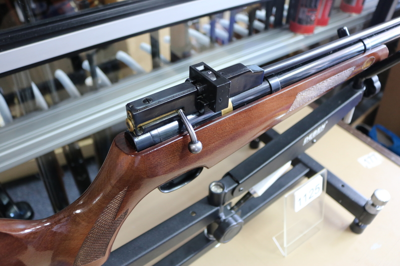Raptor FN19 .22