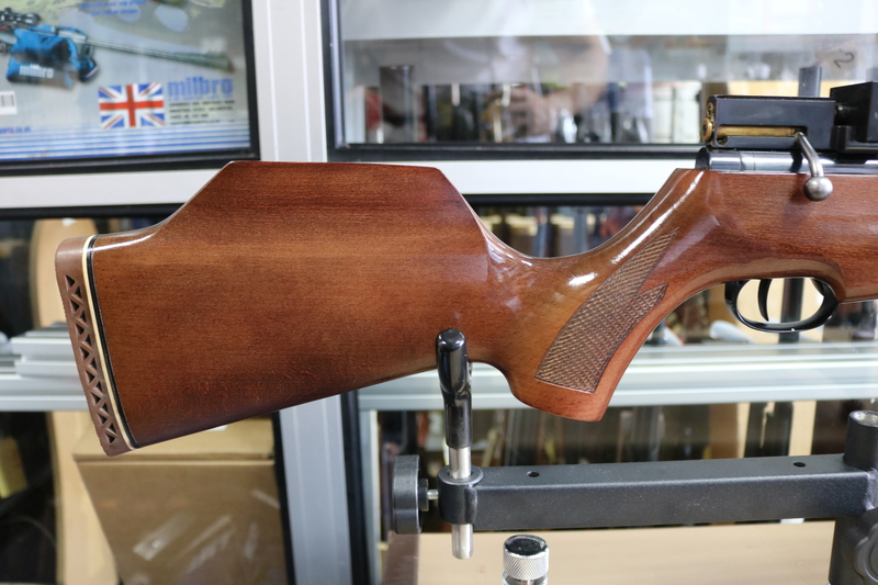  Raptor FN19 .22