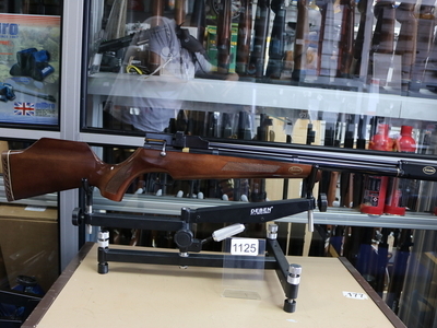 Raptor FN19 .22