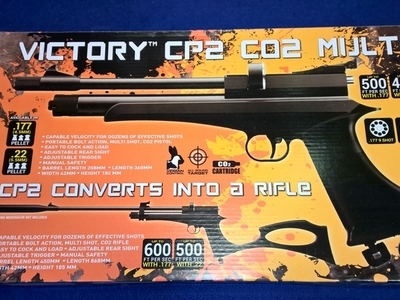Victory CP2 .22