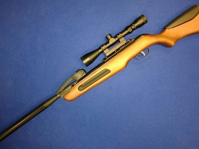 Gamo Maxxim .22