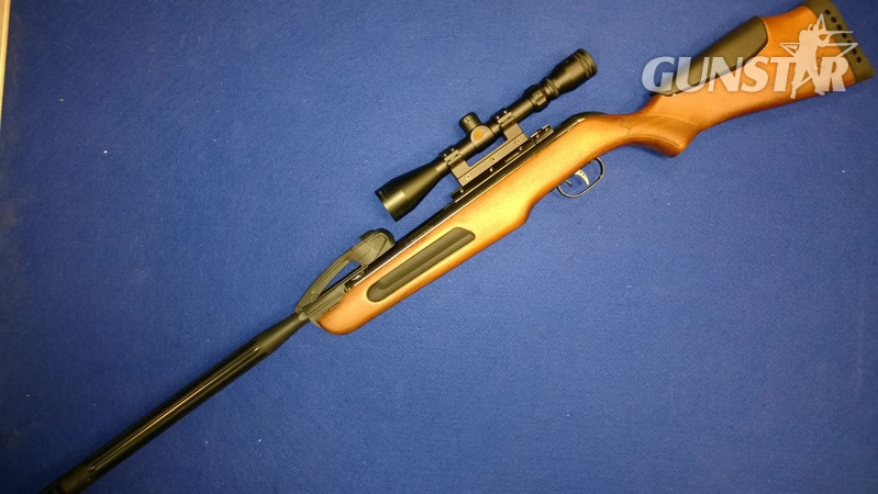 Gamo Maxxim .22 in 