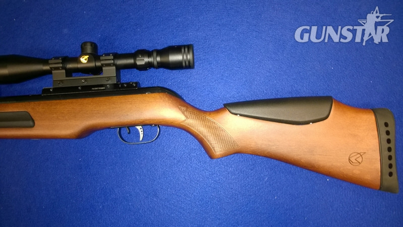 Gamo Maxxim .22