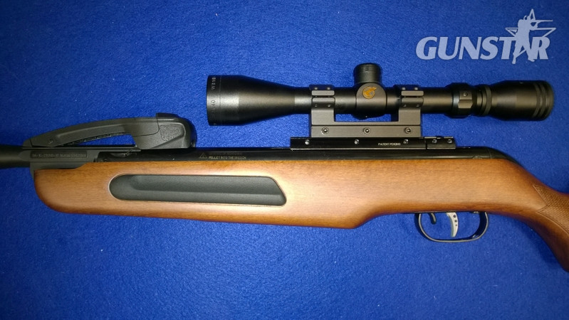  Gamo Maxxim .22