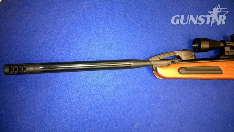 Gamo Maxxim .22 - {CATEGORY} in 