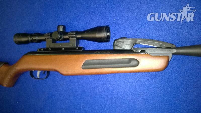 {CATEGORY} - Gamo Maxxim .22 in 