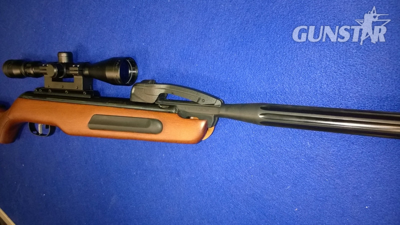 {CATEGORY} - Gamo Maxxim .22